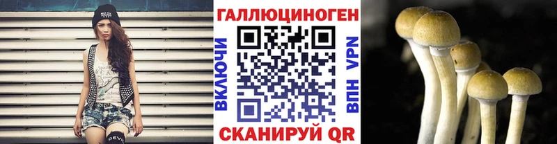 Купить где  Городец  Галлюциногенные грибы Magic Shrooms 
